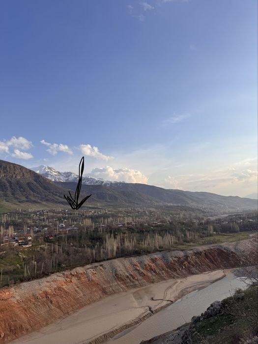 Дача аренда (оилавий ва улфатлар учун)