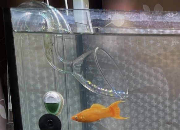 Filtru Aquael Ultramax 1000
