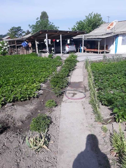 дом 150 кв.м. с участком 19 соток. Ташкентская область пос. Янги Хает