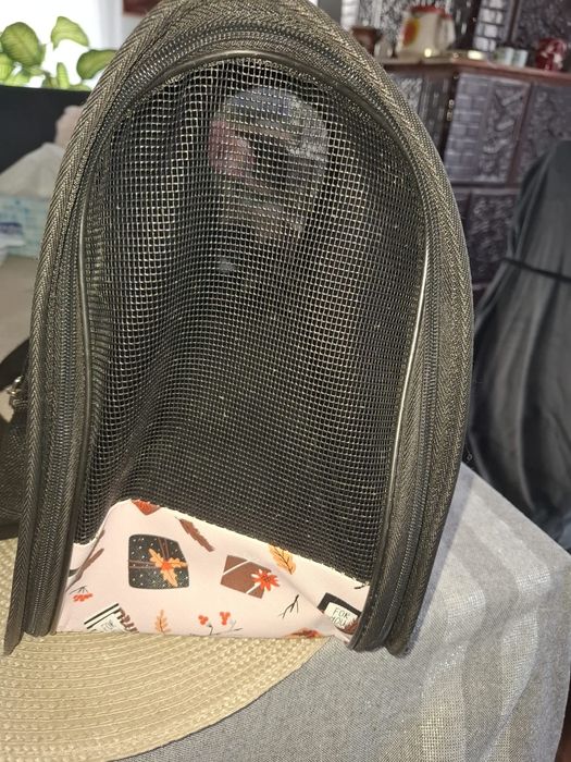 Geantă de transport pliabilă pt.animale