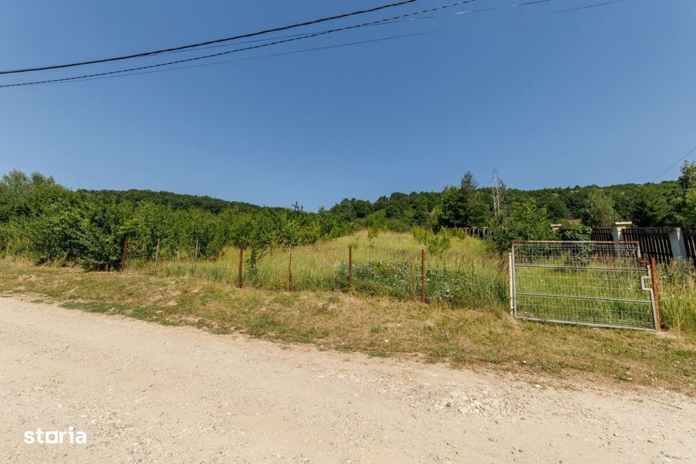 Teren Ștefanesti Valea Mare
