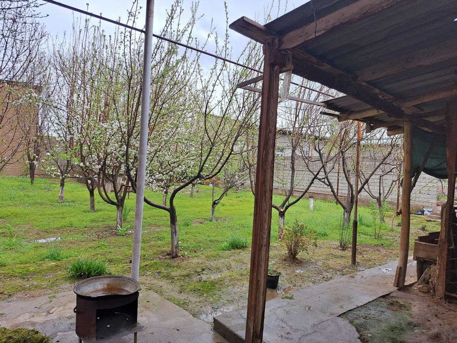 Katta bog'li dacha sotiladi