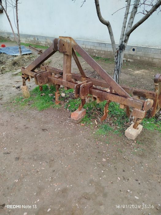 Prsep kultuvassa chizil sotiladii