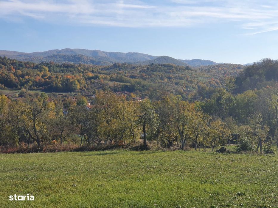 Teren Intravilan Premium 3040 mp în Românești (Tomești)