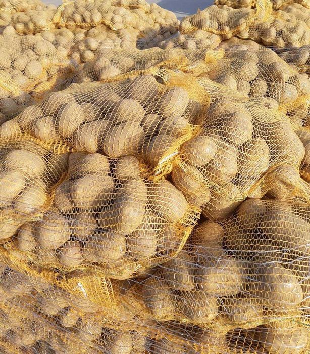 Vand cartofi consum,calibru 60+