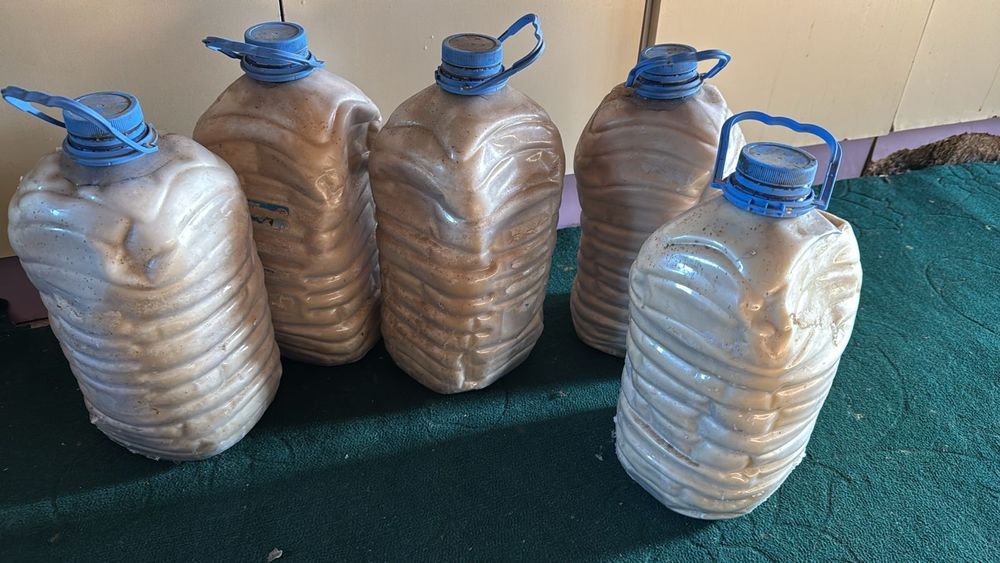 Тоң май сатылады