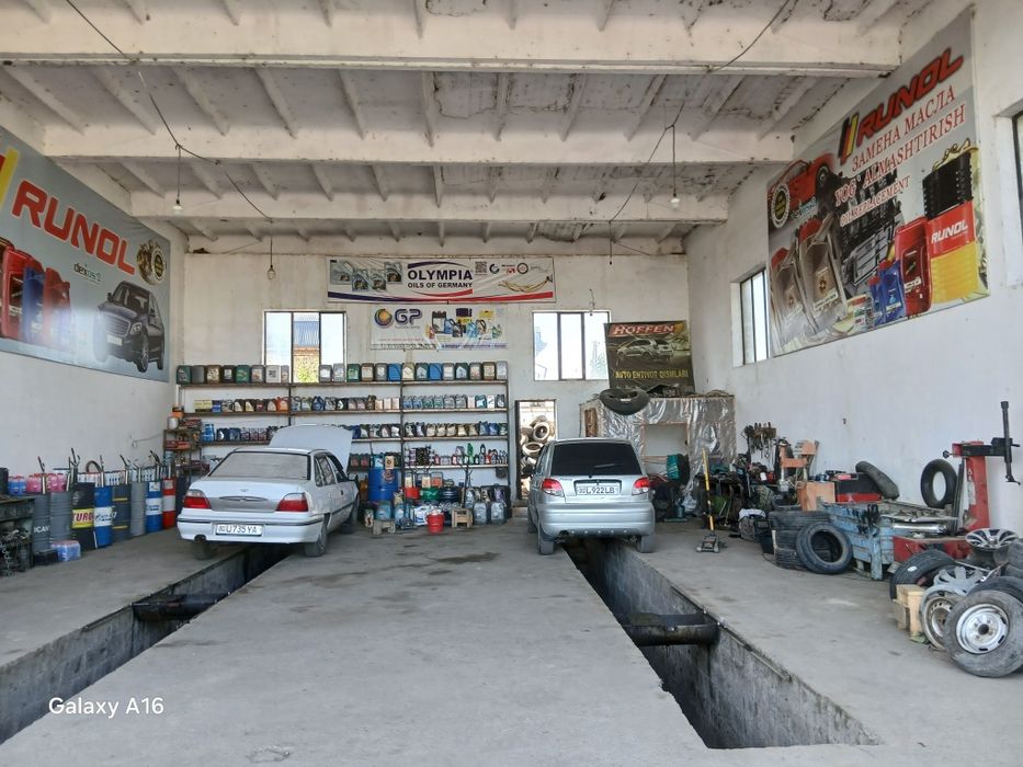 Sochli katta mushuklarning foto galereyasi