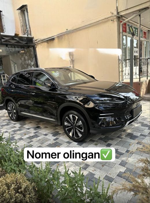 BYD Champion smart 2025