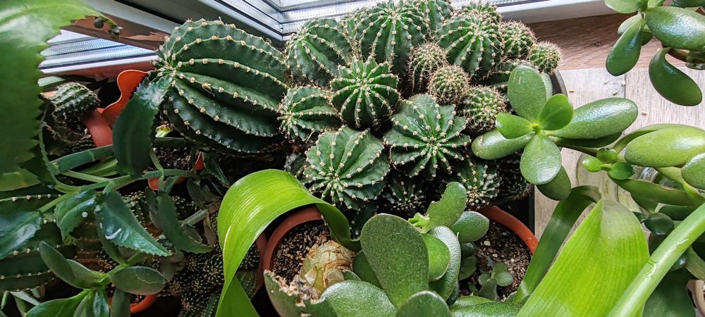 Продам недорого.