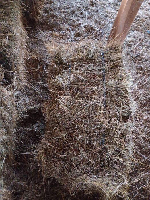 Vând baloti de fan!