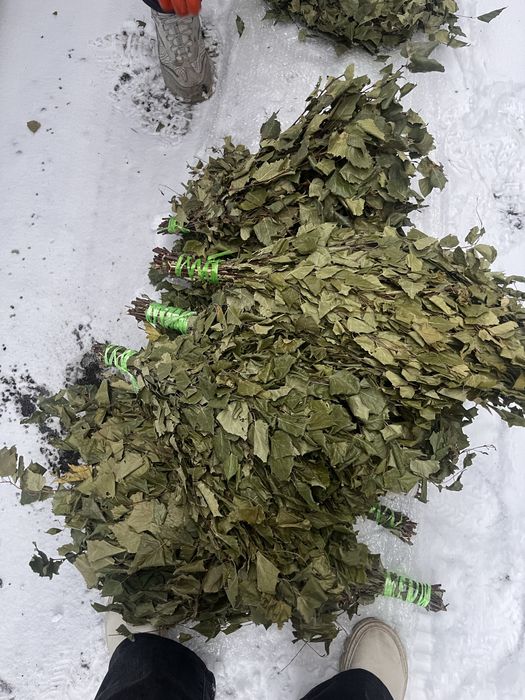 Продам Веники Берёза