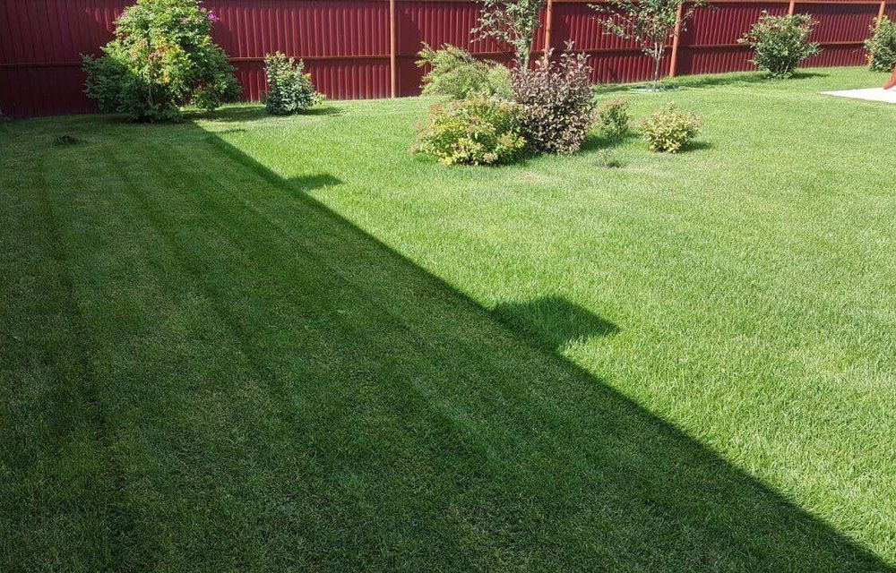 Газон ориш хизмати