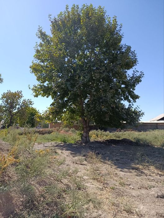 Продам участок ул.Ивлива(Кичик бешагач) 8 сот Фасадь25м.