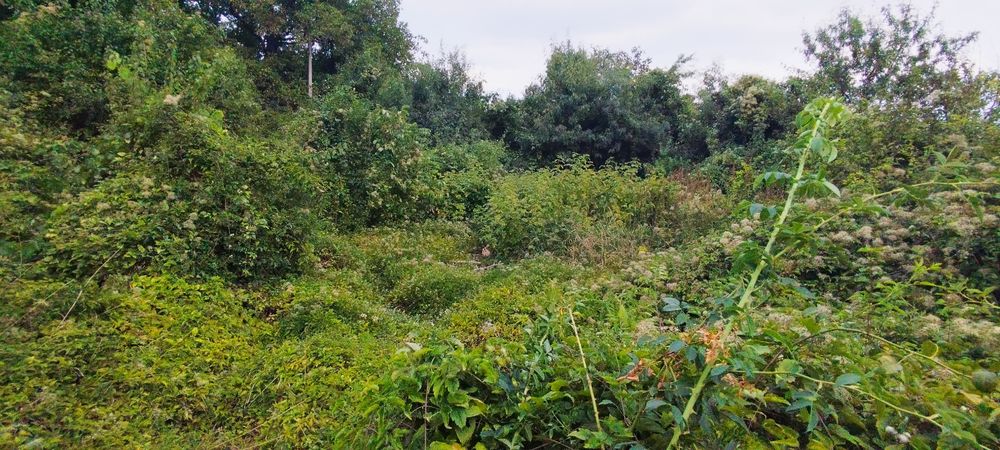 Продава се Парцел в с. Люлин, Област Перник - 835 кв.м за 31 €/кв.м - Снимка #4