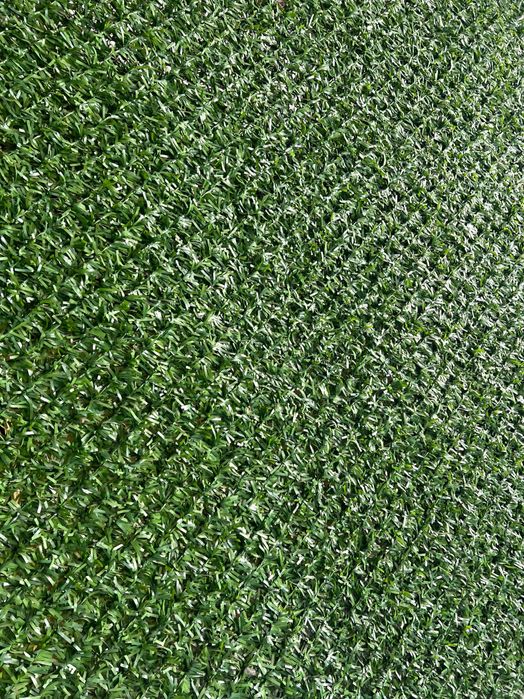 Оградна мрежа жив плет