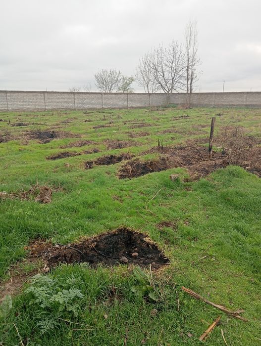 ер сотилади  той тепа орта чирчик