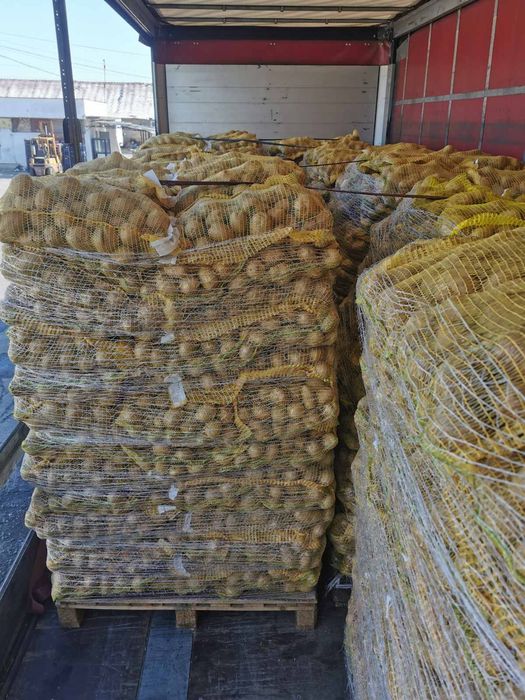 Картофи за консумация на едро