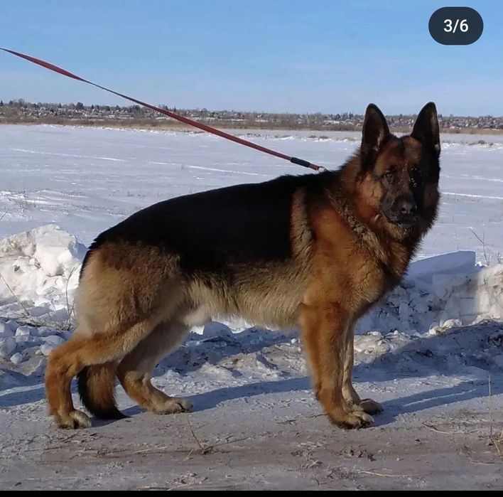 Кабель на вязку.