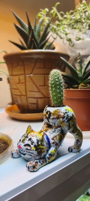 Кошка с кактусовым хвостиком