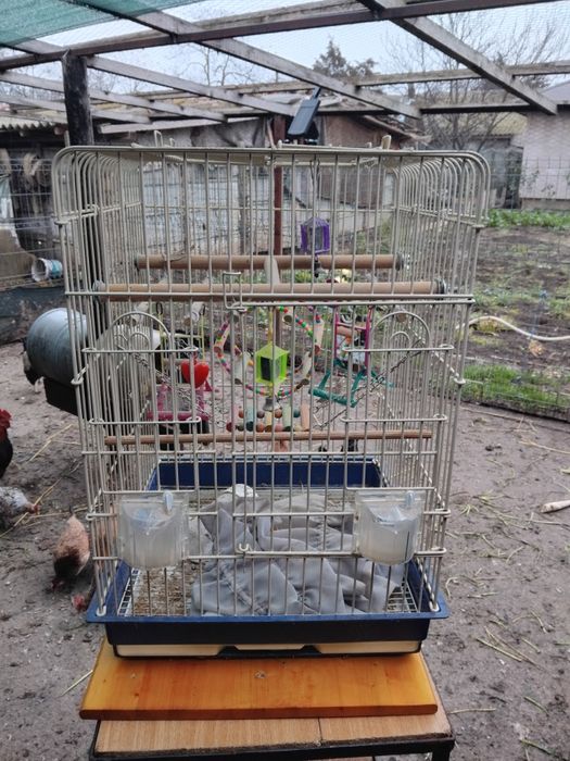 Colivie pentru perusi ,agapornis,micul alexandru