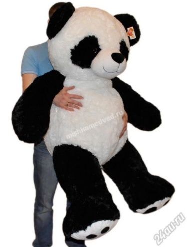 Panda Teddi va Boshqa Barcha Yumshoq O'yinchoqlar