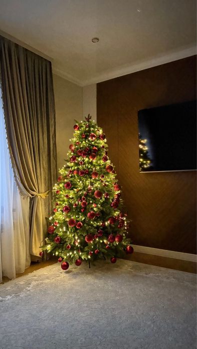 Елка Шымкент оптом