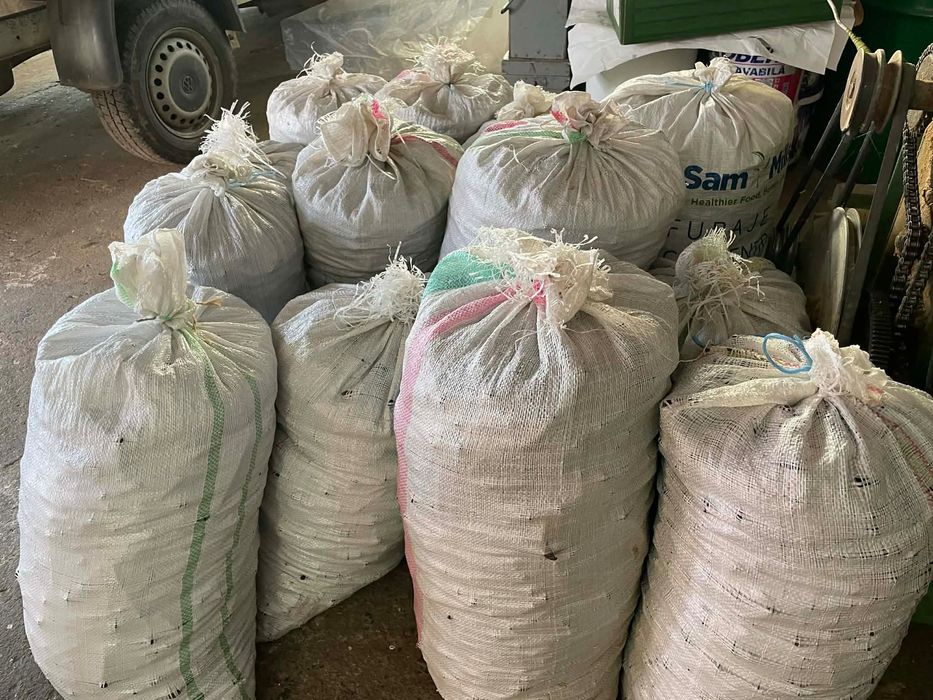 Șrot din floare soarelui