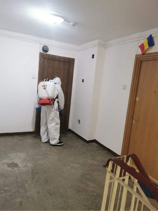 Servicii Dezinsecție, Dezinfecție și Deratizare