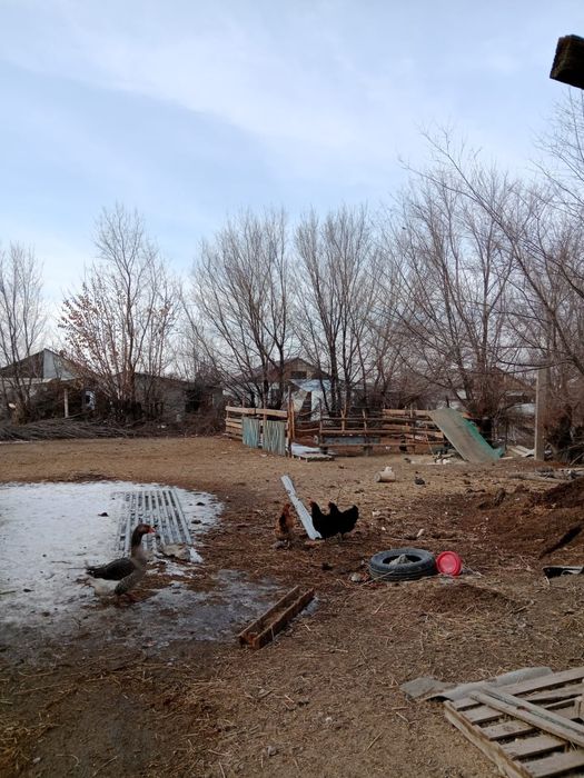 Продам дом с пристройкой