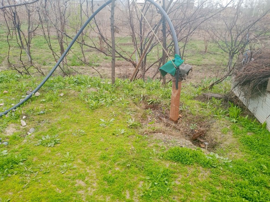 Hovli 15 sotix sotiladi