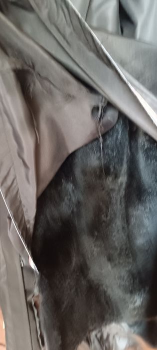 Продам парку 48р