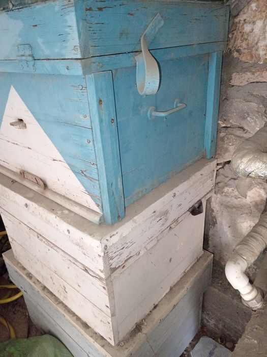 Asalari yashiklari b/u