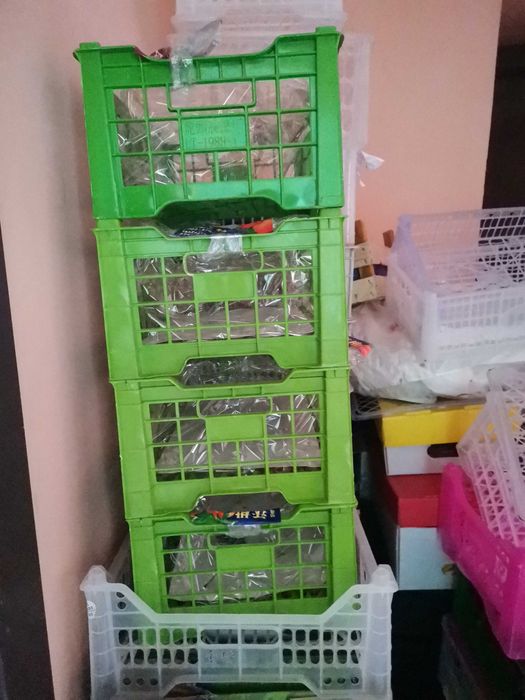 Ящики пластмассовые