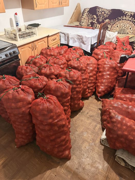 Продам картошку Гала