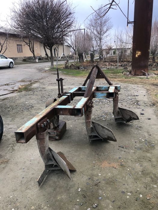 Pluk yaxshi holatda!