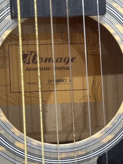 Homage LF-3800CT N