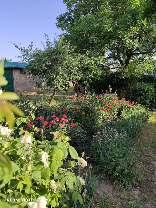 Продаётся дом. Университетский бульвар.