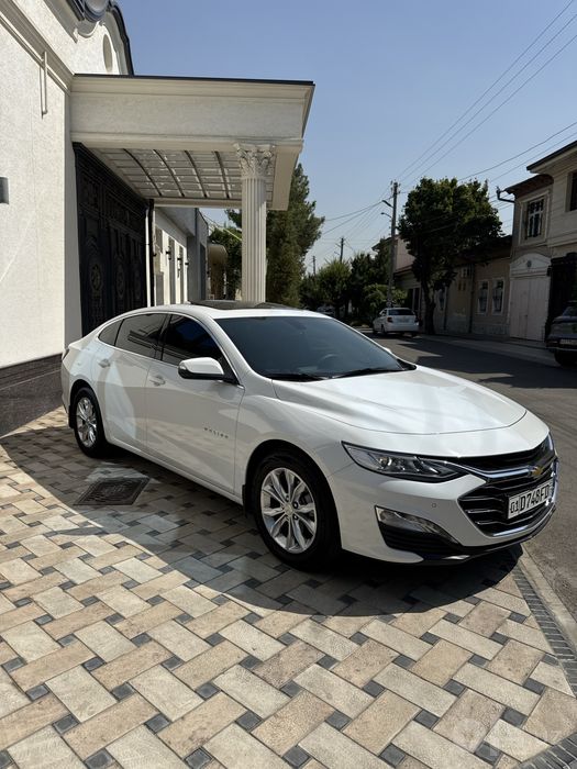 Malibu 2 premer 2022