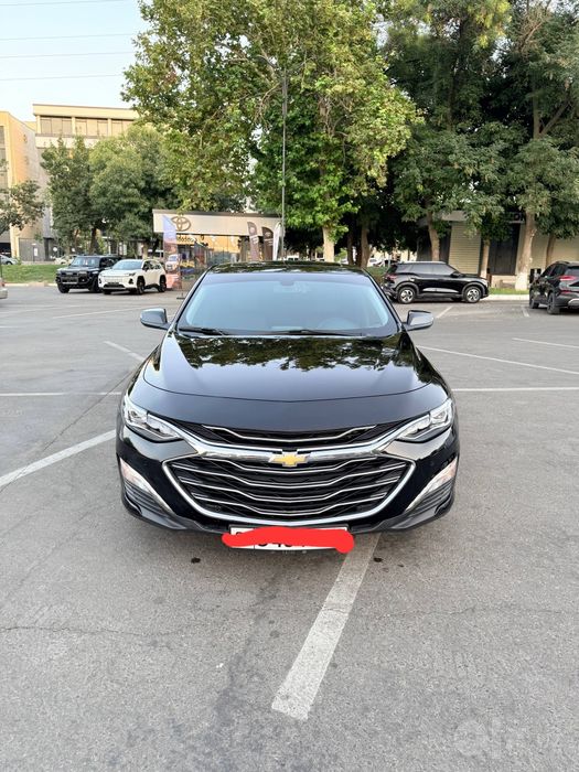 Malibu  Premier 2021