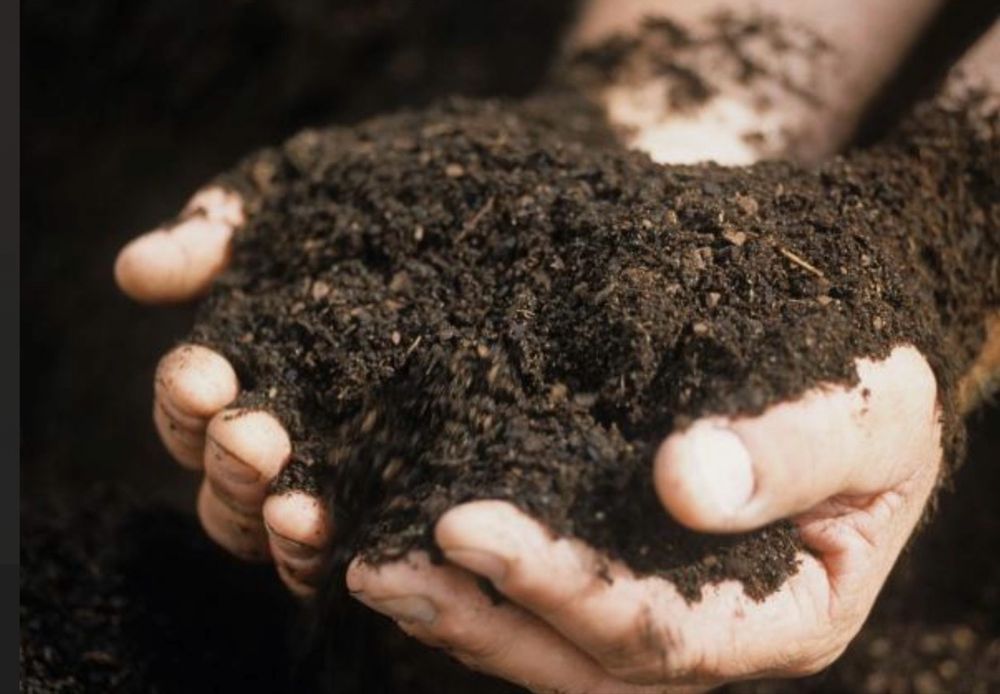 Перегной доставка ЗИЛ