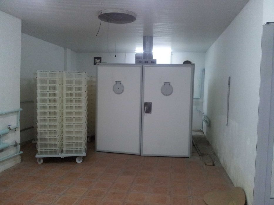 Инкубатор ИУП-45 Пятигорск