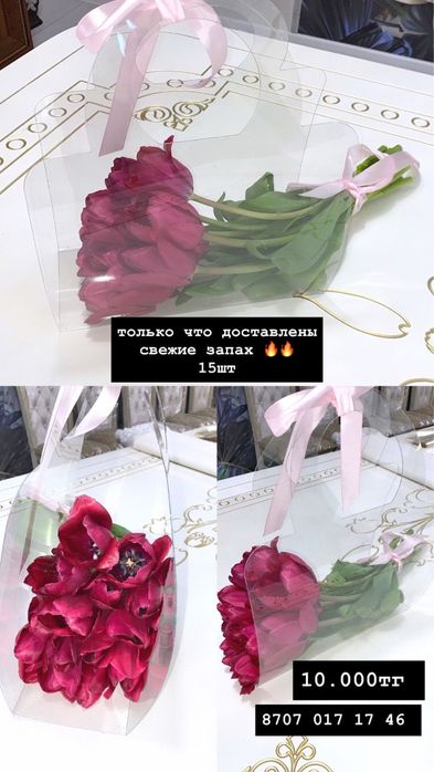 Цветы  тюльпан свежие