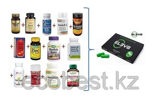 Элев8. Клеточное питания