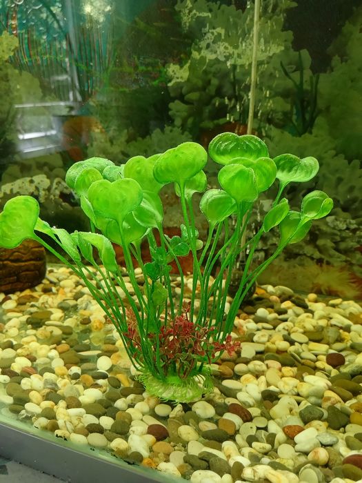 Продам декорации .