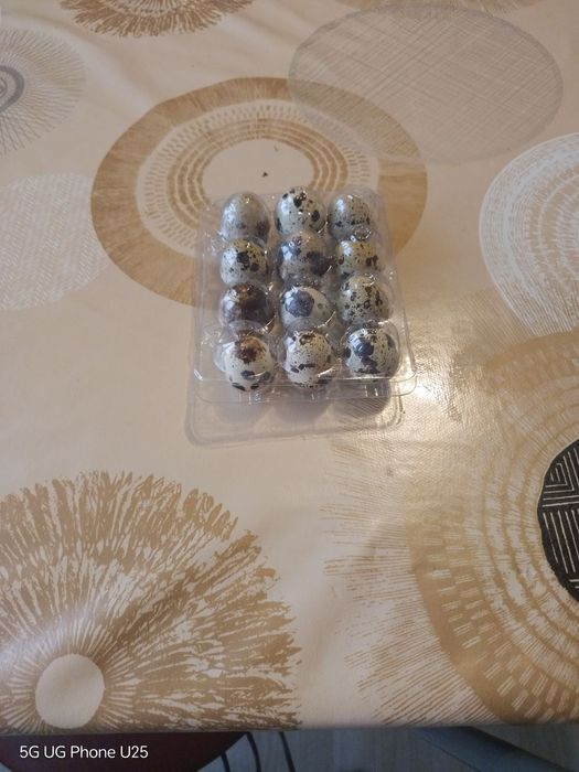 Пъдпъдъчи яйца 12бр