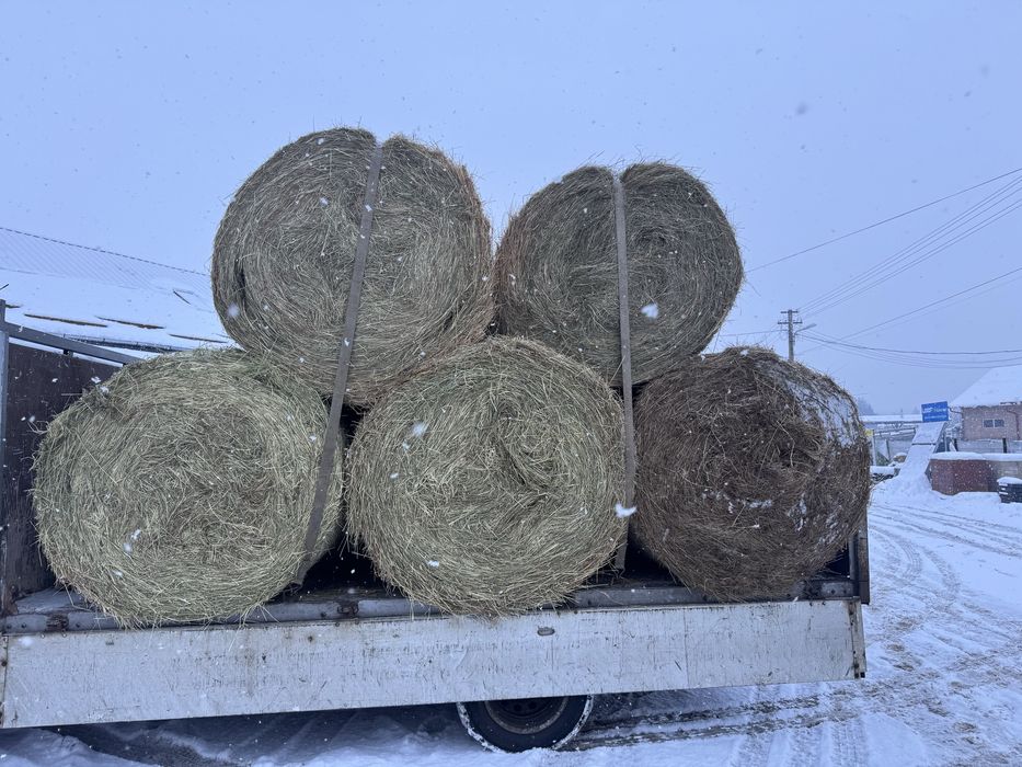 Baloti de fan rotunzi