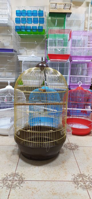 Клетка овальная гигант