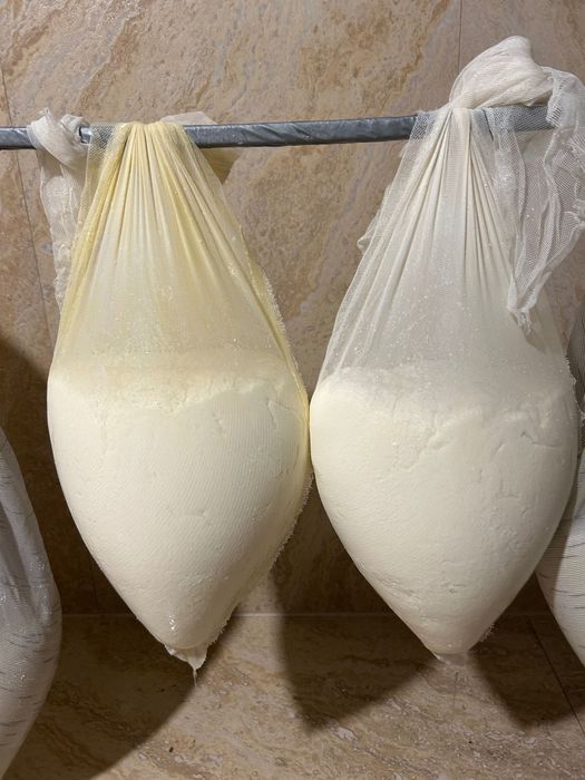Branza de vacă , produs natural și de calitate