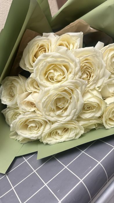 Свежие цветы розы