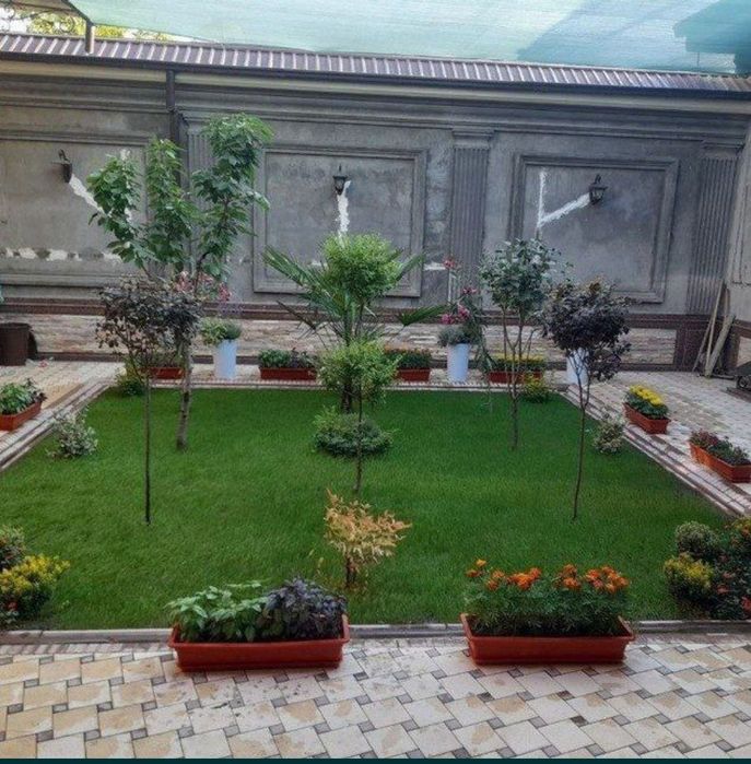 Газон тайёри ва ўруғдан экамиз гарантия 100%